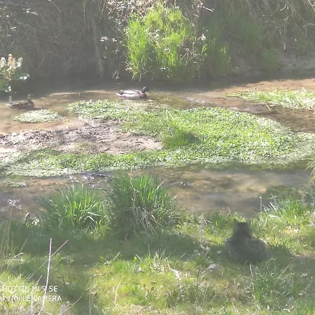 Osada Wloscianska Prázdninový dům *