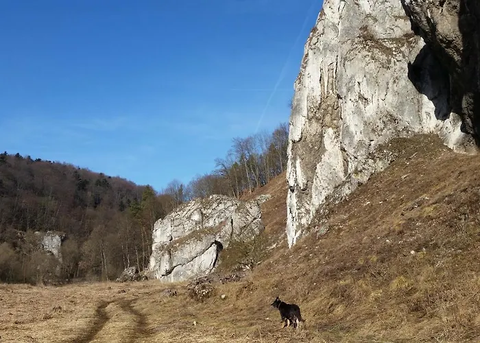 Prázdninový dům Osada Wloscianska