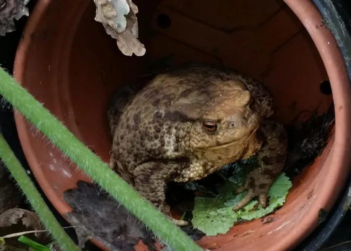 Prázdninový dům Osada Wloscianska Ojcow